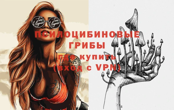гашик Алзамай
