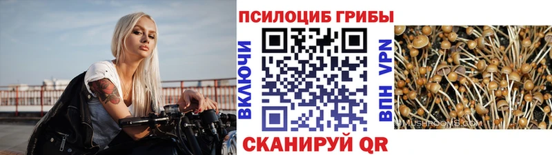 Псилоцибиновые грибы ЛСД  Павлово 