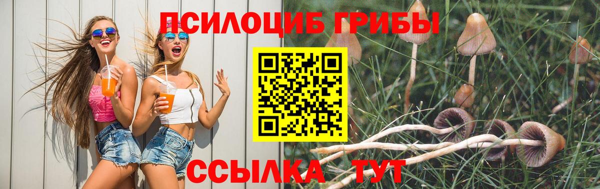 Галлюциногенные грибы мицелий Павлово