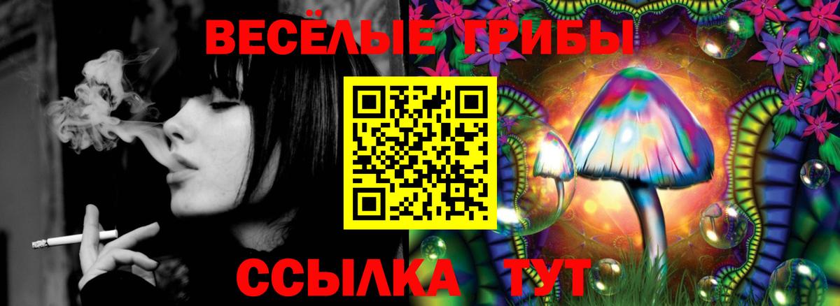 Павлово  Галлюциногенные грибы ЛСД  Вход с VPN 